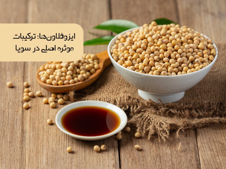 apovital_isoflanenha_tarkibat_moasere_asli_dar_soya_29_11_99_02