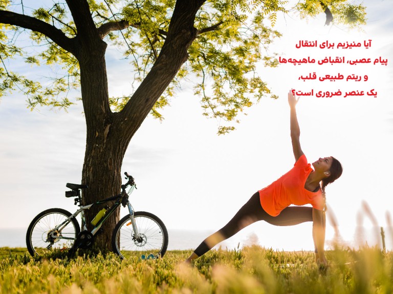 Apovital_aya_magnesum_baraye_enteghale_payame_asbi_29_9_99_02